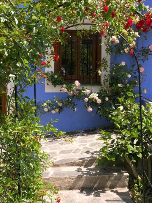 Private & Pool Nr Puerto Banus Marbella